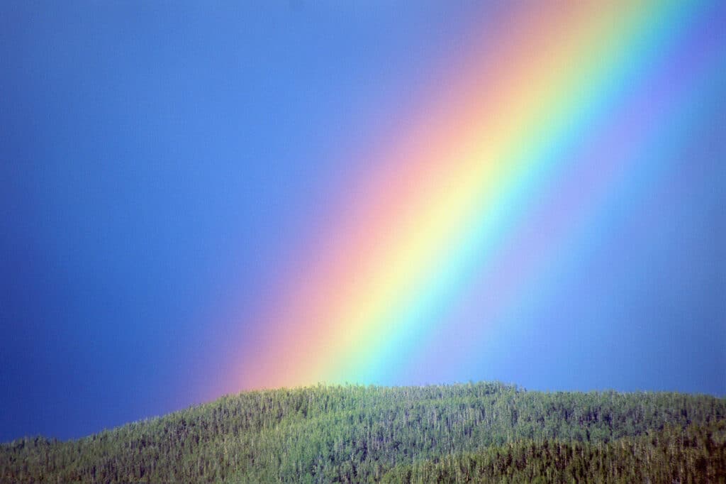 rainbow-credit-amna-emmy-blogspot