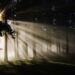 light-into-darkness-ctrnorthshore-org