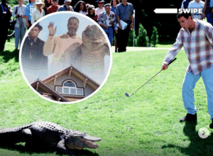 Screenshot 2025-05-14 at 07-08-43 Instagram - happy gilmore - aligator - dead - pubity - 2025 clean