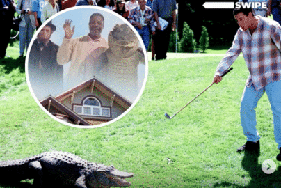 Screenshot 2025-05-14 at 07-08-43 Instagram - happy gilmore - aligator - dead - pubity - 2025 clean