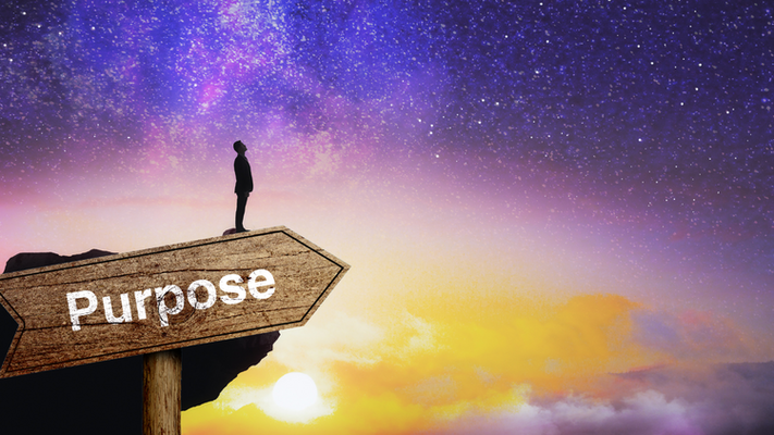 finding-purpose-soulsearch-io-2026-clean